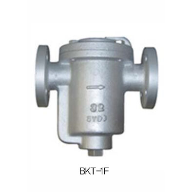 BKT-1S/1F