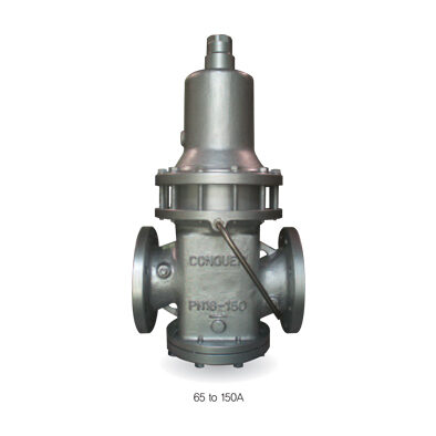 CR20DPL - for water, oil, air, gas, liquid