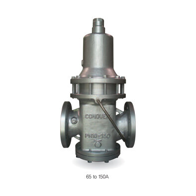 CP20DPL - for water, oil, air, liquid